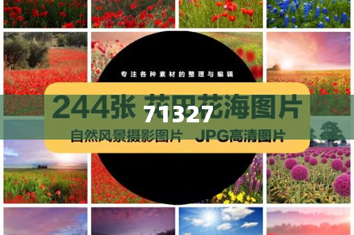 探索777788888管家婆網(wǎng)，一站式解決方案的綜合服務(wù)平臺，一站式解決方案的綜合服務(wù)平臺，探索777788888管家婆網(wǎng)