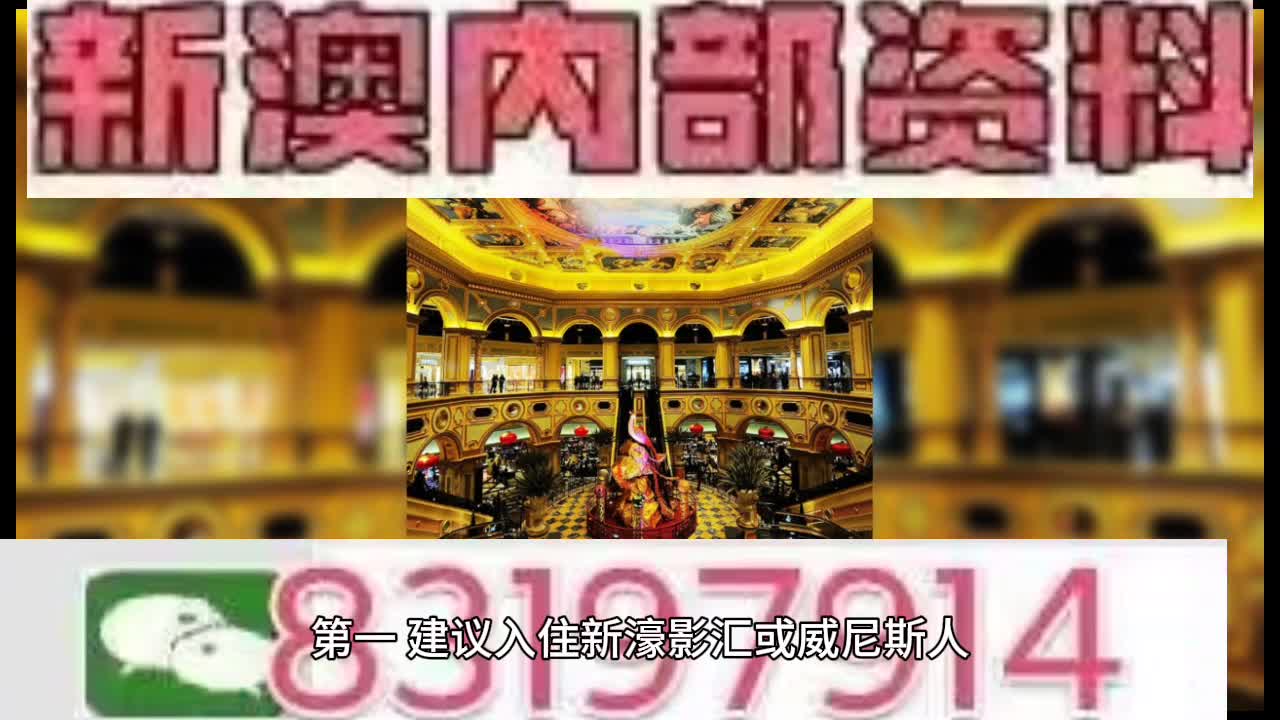 新澳門特馬王，探索與解析，新澳門特馬王，深度探索與解析