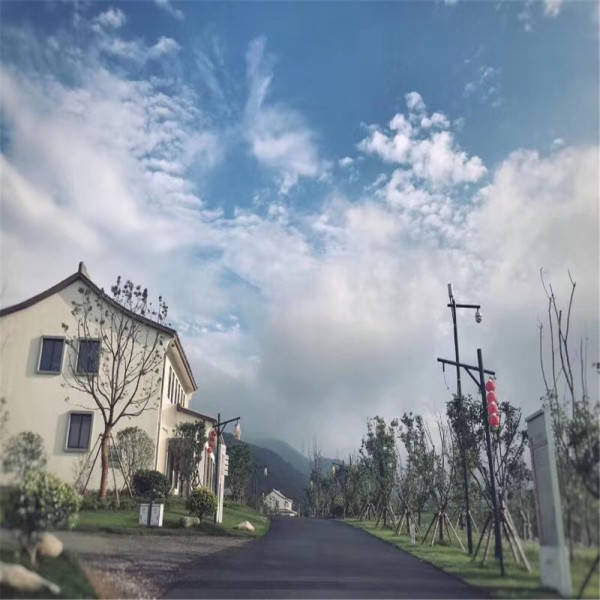 新奧今晚開一肖一特講解詞語，揭秘生肖與特肖的獨特魅力，揭秘生肖與特肖的獨特魅力，新奧今晚一開一特講解詞語