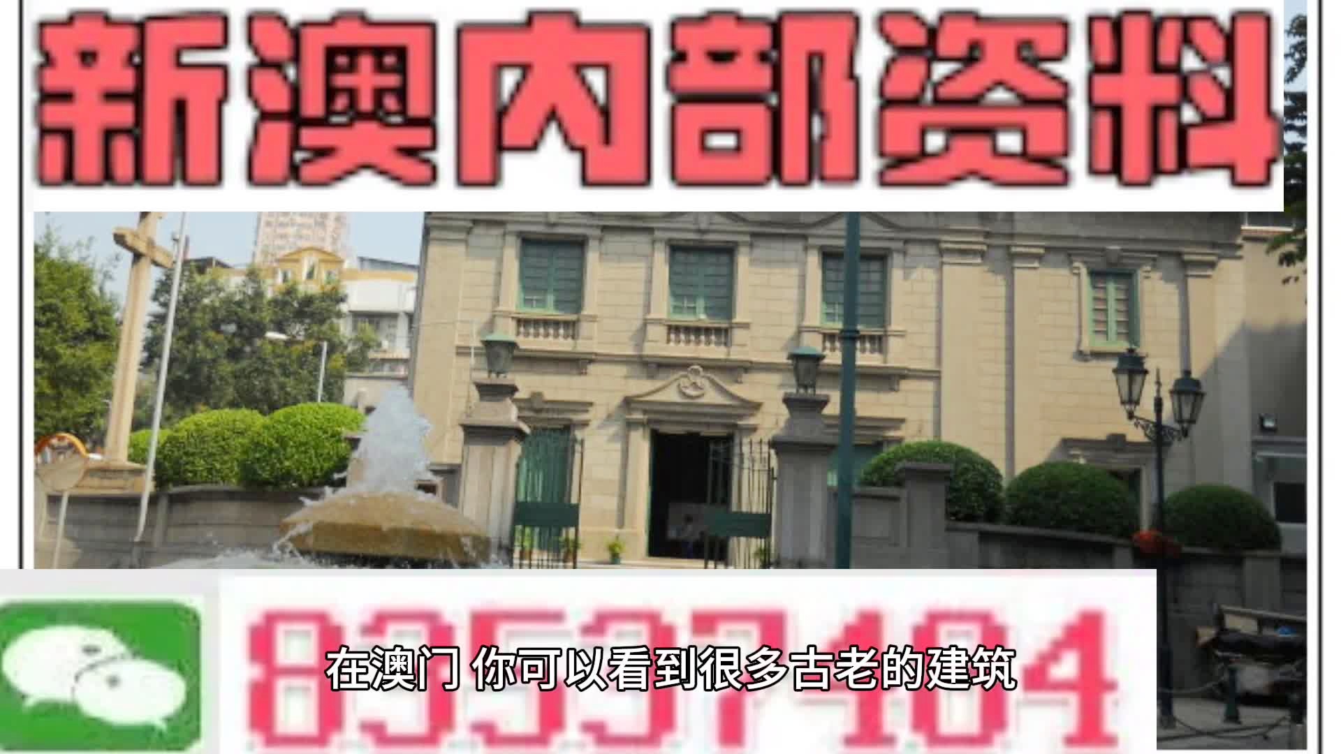 新門內(nèi)部資料大全更新，掌握最新資源，引領(lǐng)行業(yè)前沿，新門內(nèi)部資料更新引領(lǐng)行業(yè)前沿掌握最新資源大全