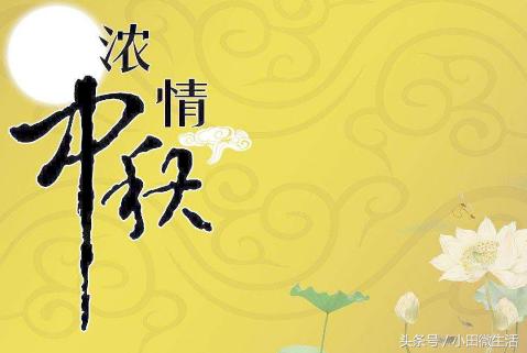 天天開好彩免費資料大全——你不可錯過的幸運之門，天天開好彩免費資料大全——開啟幸運之門的必備指南