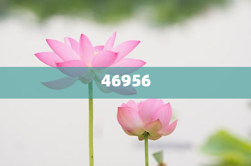 新奧集團(tuán)，邁向2025，天天開好彩的愿景與挑戰(zhàn)，新奧集團(tuán)邁向2025，實現(xiàn)天天開好彩的愿景與挑戰(zhàn)