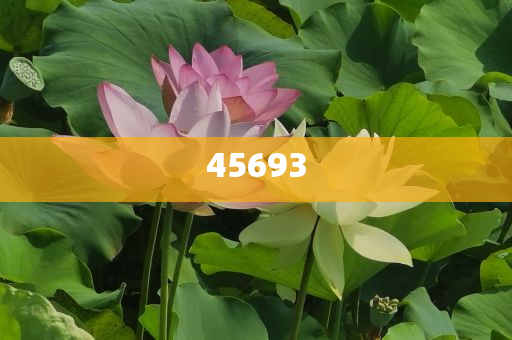 全新升級，7777888888精準新管家，全新升級管家，精準管理，一站式服務 7777888888新管家重磅來襲