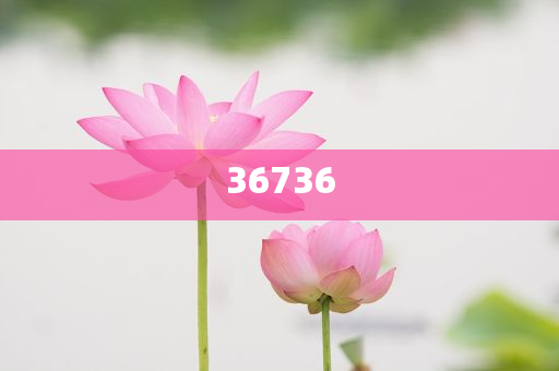 揭秘精準(zhǔn)新傳秘籍，7777788888免費(fèi)策略與SEO優(yōu)化，揭秘精準(zhǔn)新傳秘籍，免費(fèi)策略與SEO優(yōu)化指南
