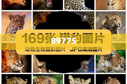 關于新奧歷史開獎記錄的最新信息，今天公布了嗎？，新奧歷史開獎記錄最新信息公布了嗎？