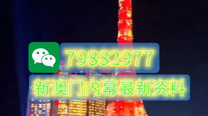 全新2025澳門生肖卡，探索未來幸運(yùn)之門，全新2025澳門生肖卡，開啟未來幸運(yùn)之門