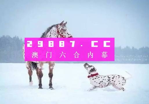 澳門一肖一碼狀元紅，揭秘彩票背后的秘密與策略，澳門彩票揭秘，狀元紅背后的秘密與策略解析