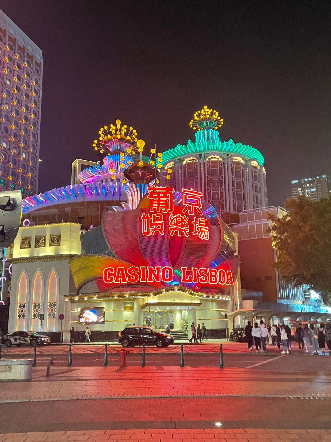 澳門今晚必開一肖一特芳草地，探索生肖與運勢的神秘面紗，澳門生肖運勢揭秘，探索今晚必開一肖一特芳草地神秘面紗的運勢之旅