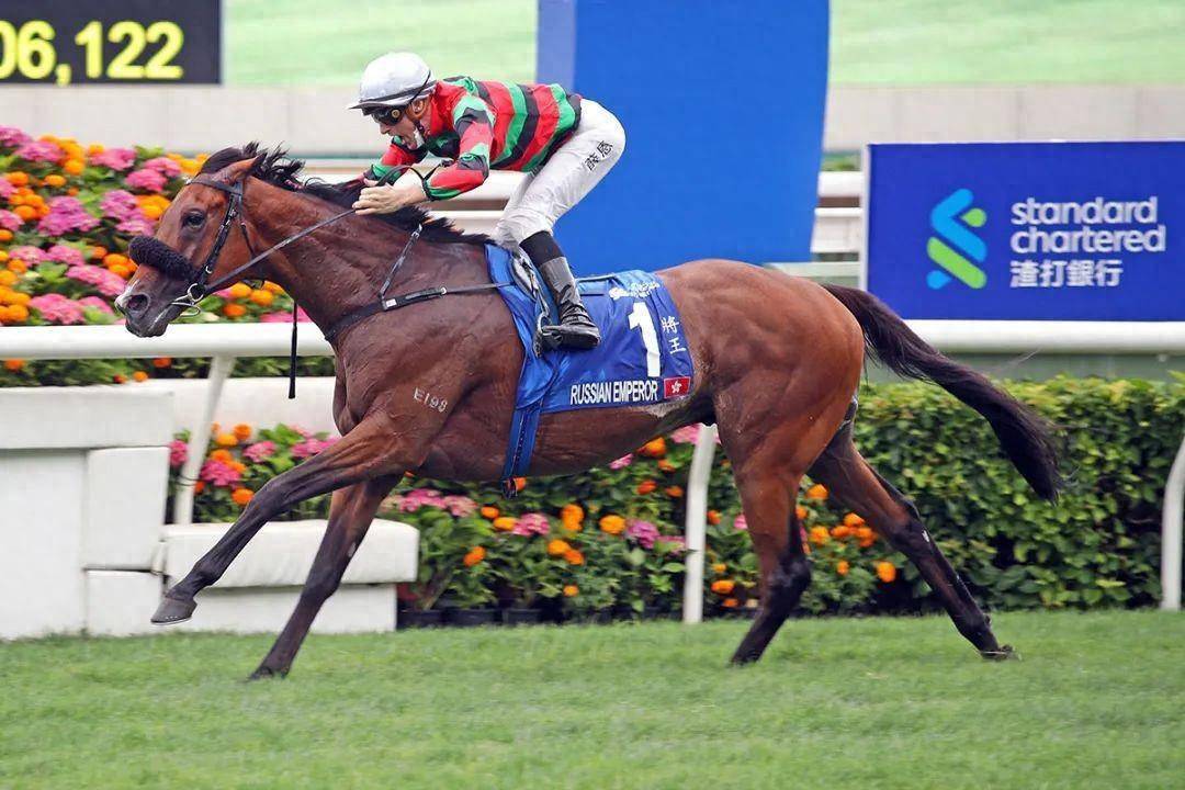 香港馬賽事，探索數(shù)字背后的激情與榮耀 7777788888，香港馬賽事，數(shù)字背后的激情與榮耀