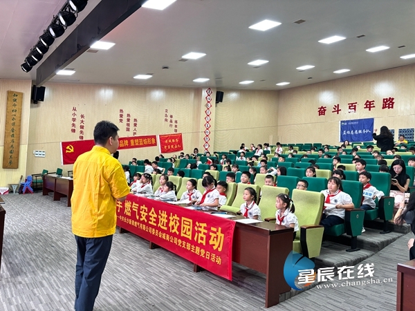 新奧49正版資料，探索與解析，新奧49正版資料深度探索與解析