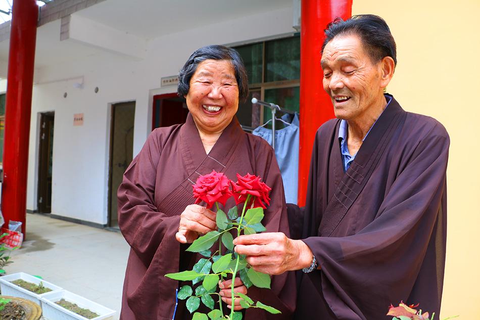 揭秘最準(zhǔn)一碼一肖，揭秘背后的秘密與真相，鳳凰網(wǎng)獨(dú)家報(bào)道，獨(dú)家揭秘，最準(zhǔn)一碼一肖背后的秘密真相（鳳凰網(wǎng)報(bào)道）