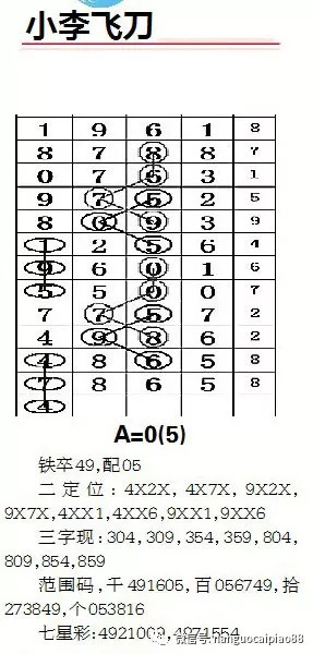 新澳平碼出碼公式，揭秘背后的秘密與策略，揭秘新澳平碼出碼公式，背后的秘密與策略解析
