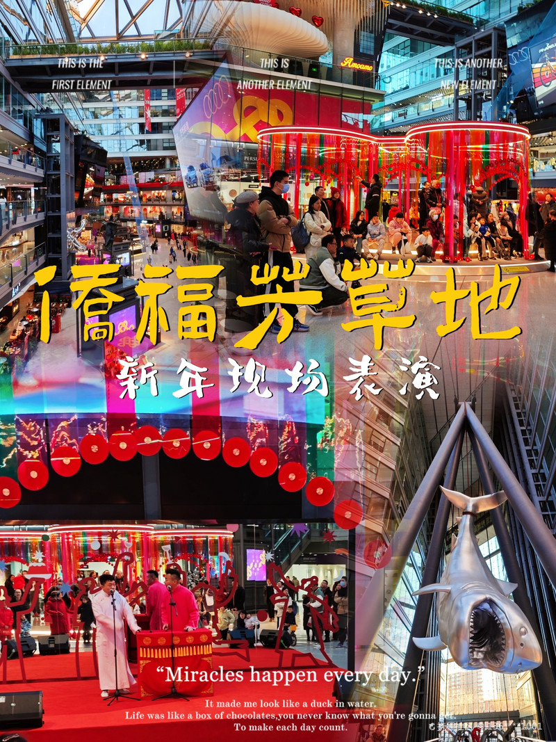 最新揭秘，2024新澳芳草地全方位資料詳解，揭秘2024新澳芳草地全方位資料，最新詳解