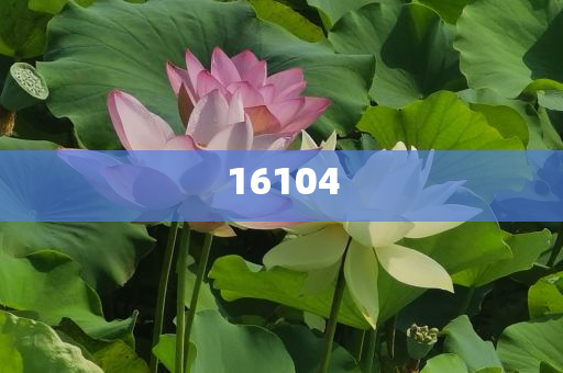 新奧600圖庫(kù)2025，探索與前瞻，新奧600圖庫(kù)2025，深度探索與未來(lái)展望