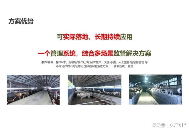 探索新澳芳草地，正版資料的免押之旅（2025年最新資訊），探索新澳芳草地，正版資料免押之旅（最新資訊）