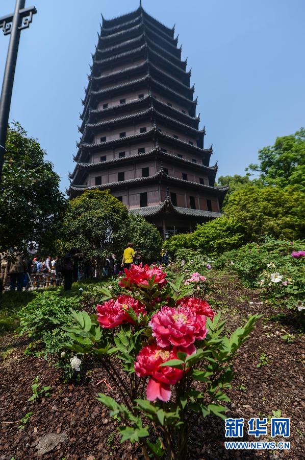 六和彩開碼資料網(wǎng)——探索彩票世界的門戶，六和彩開碼資料網(wǎng)，彩票世界探索之門