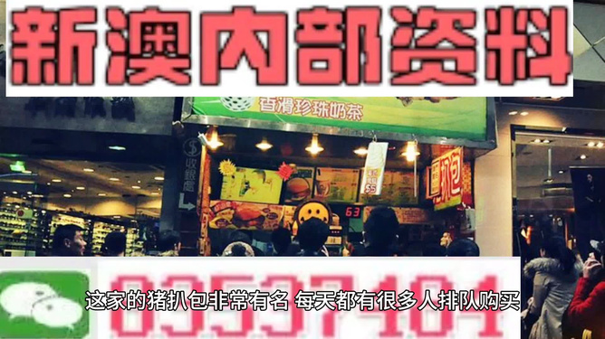 新澳天天開獎資料大全正版，全方位解析彩票魅力與正版資料重要性，新澳天天開獎資料正版解析，彩票魅力與正版資料的重要性