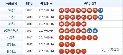 揭秘446999一肖中特馬，規(guī)律與策略解析，揭秘446999一肖中特馬規(guī)律與策略解析指南