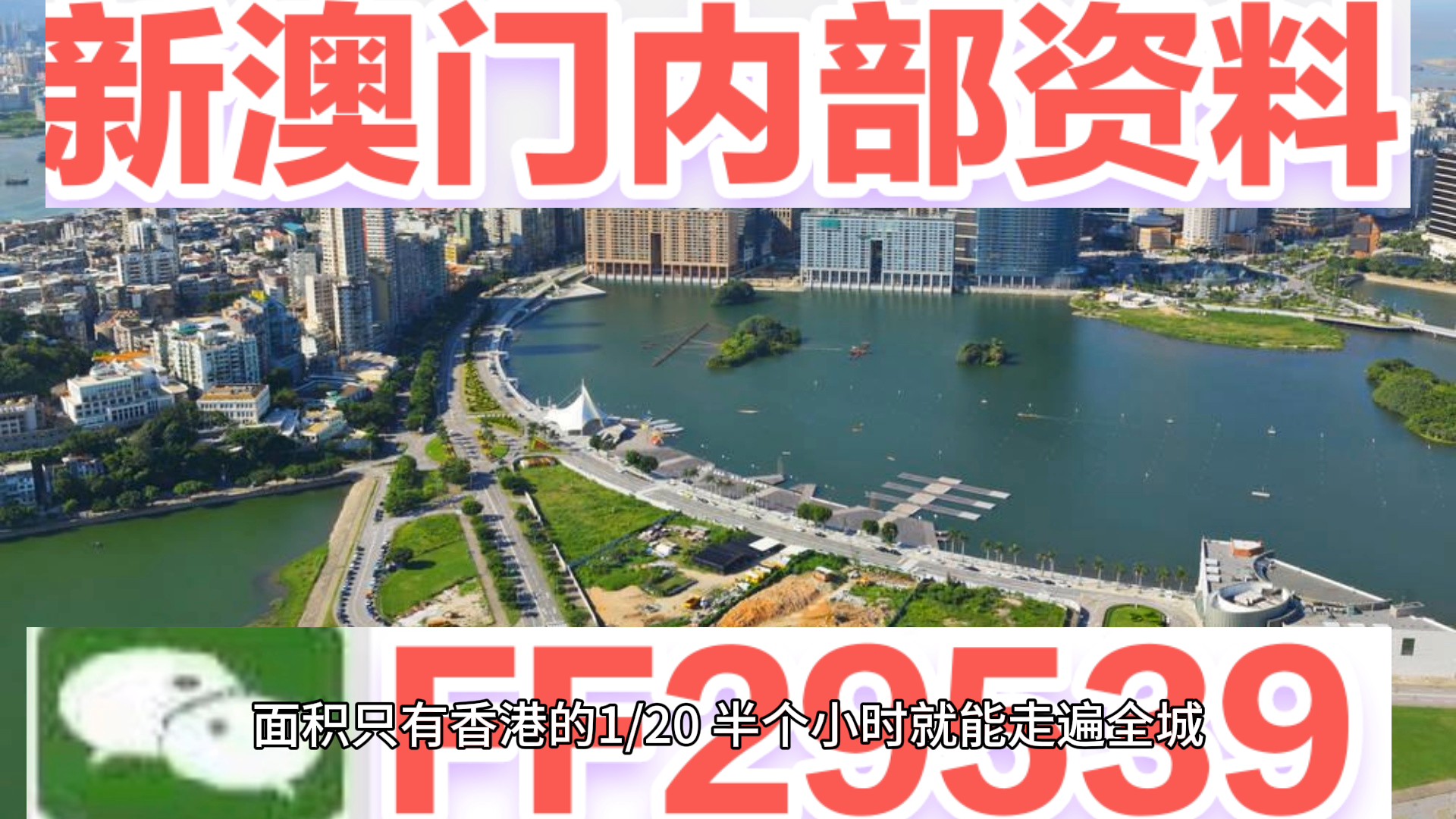 澳門彩票預(yù)測(cè)與探索，新澳門04期今晚資料分析（2025年），澳門彩票預(yù)測(cè)與探索，新澳門第04期今晚資料深度分析（2025年展望）